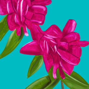 Peonies