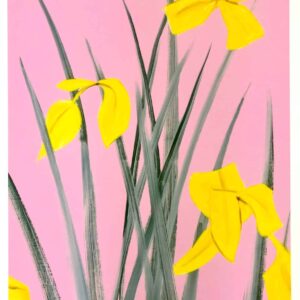 Yellow Flags 3<br>