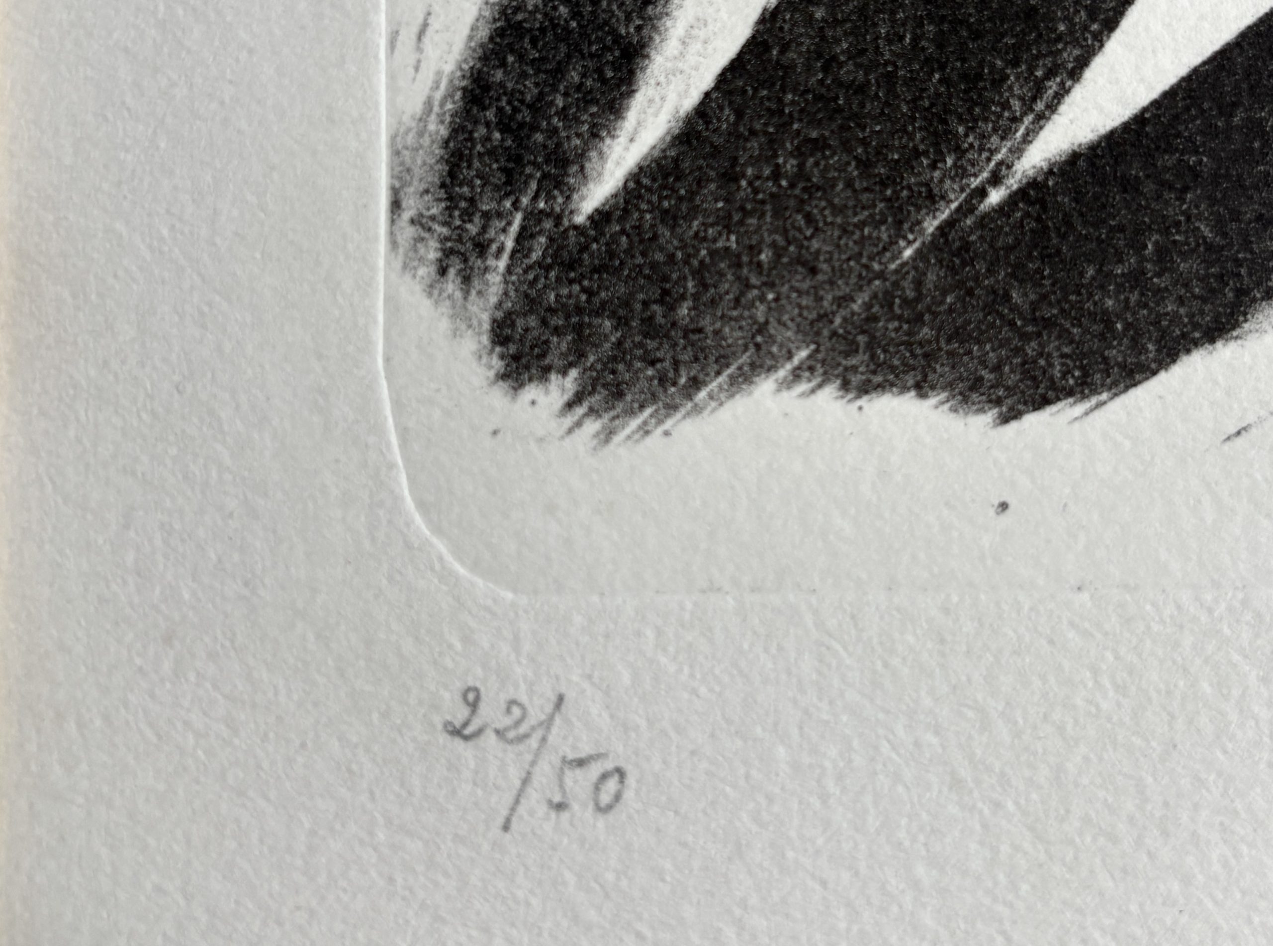 image00140-scaled-1.jpg Detail of Arches wove paper with watermark on Picasso lithograph 1949